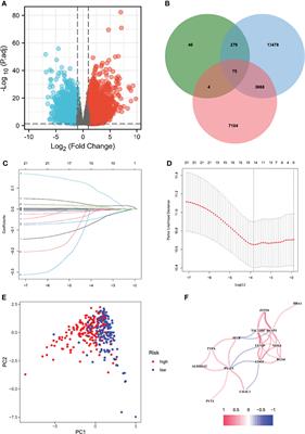 Identification of Novel Immune Ferropotosis-Related Genes Associated With Clinical and Prognostic Features in Gastric Cancer